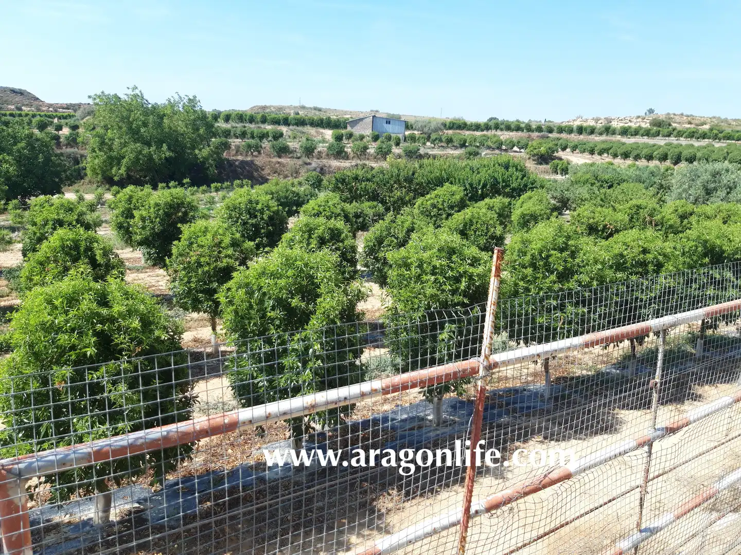 Finca rústica en venta en Caspe con Amueblado