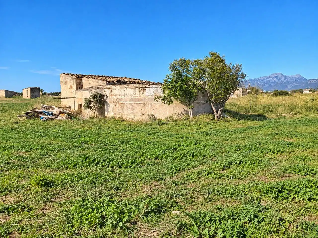 Terrain rustique à vendre à Sa Pobla, imagen 11