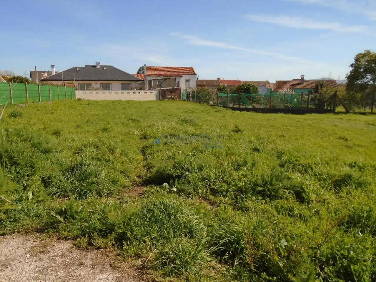 Terrain résidentiel à vendre à A Guarda, imagen 2
