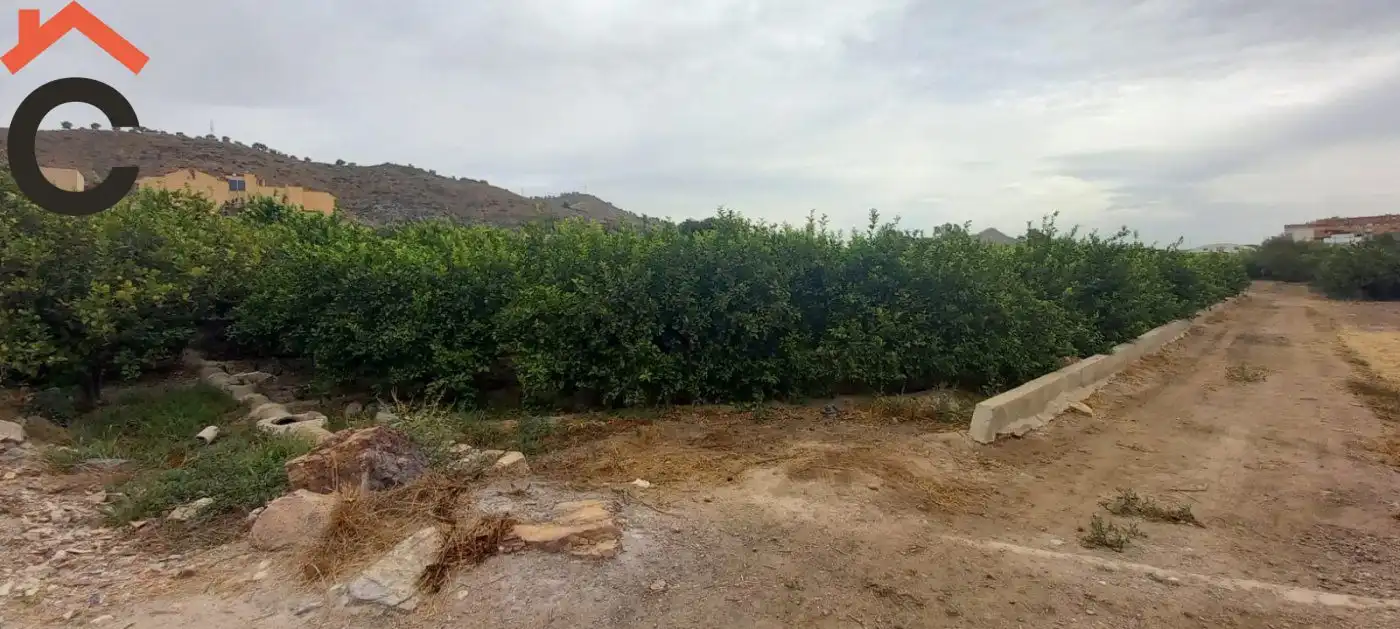 Terreny rústic en venda a Pedanías Norte, imagen 3