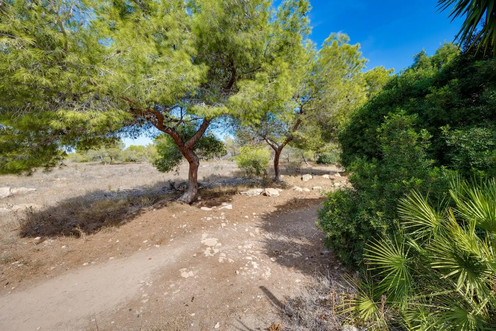 Adosado con jardín en venta en Calle LISZT, imagen 38