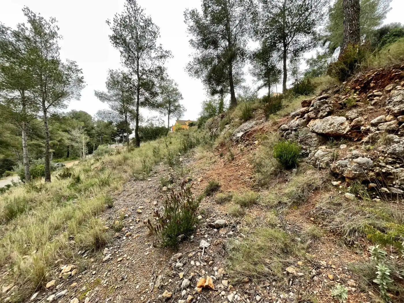 Rural land for sale in Segovia-Priorat 13, imagen 4