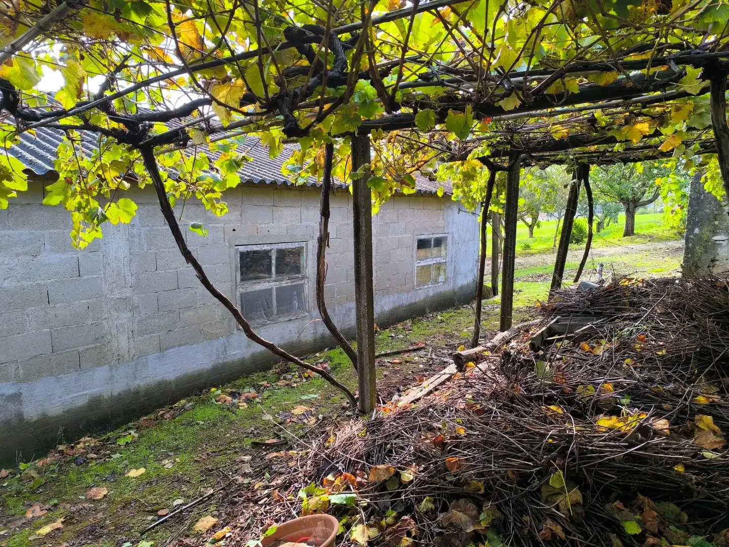 Casa o chalet en venta en Santiago de Compostela  con Jardín privado