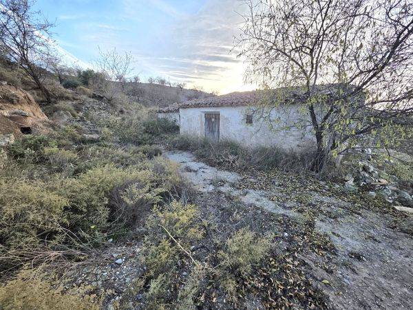 Finca rústica en Venta en Diseminado Nogalte en Nogalte