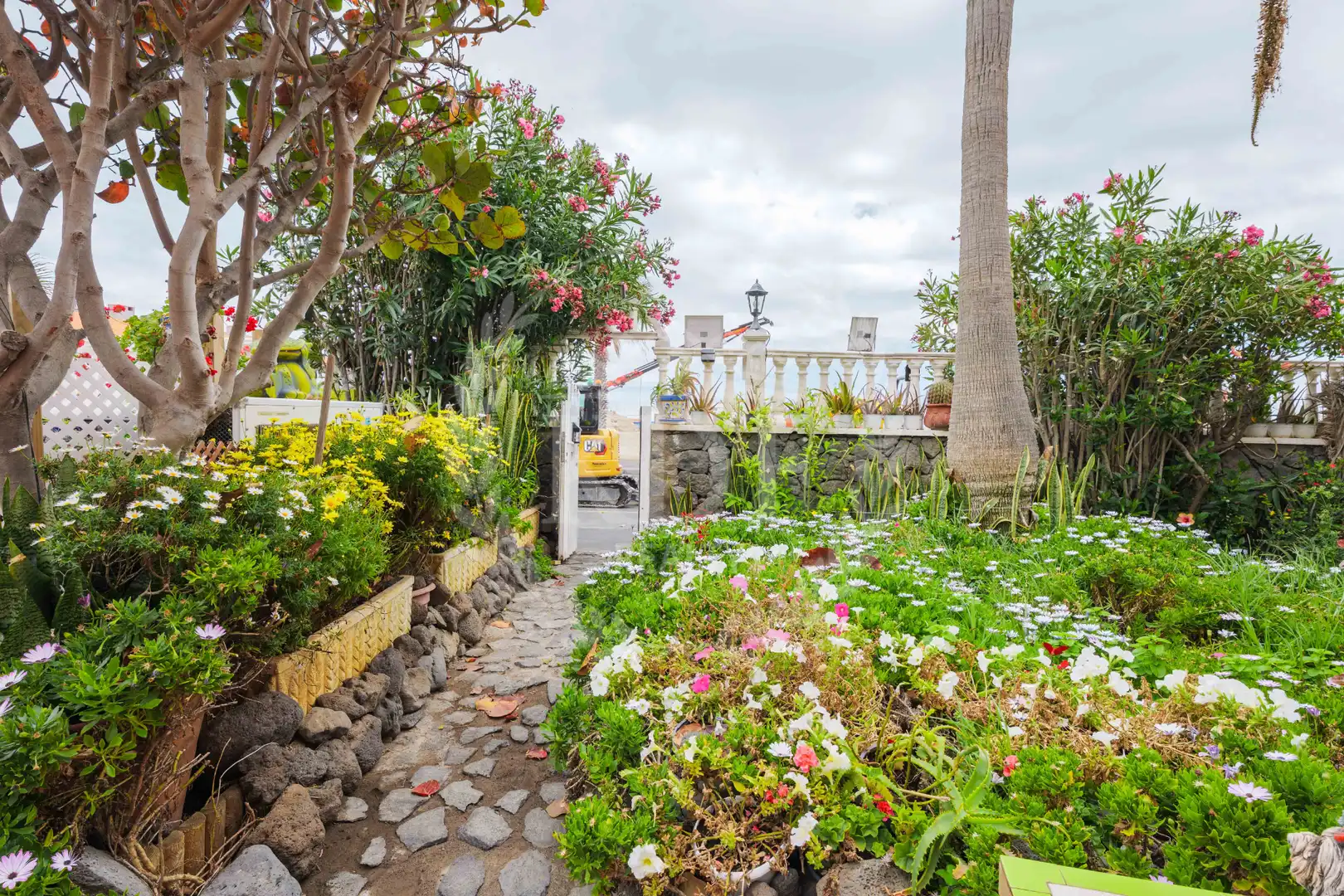 Jardín de Casa o chalet en venta en Granadilla de Abona con Aire acondicionado, Calefacción y Jardín privado
