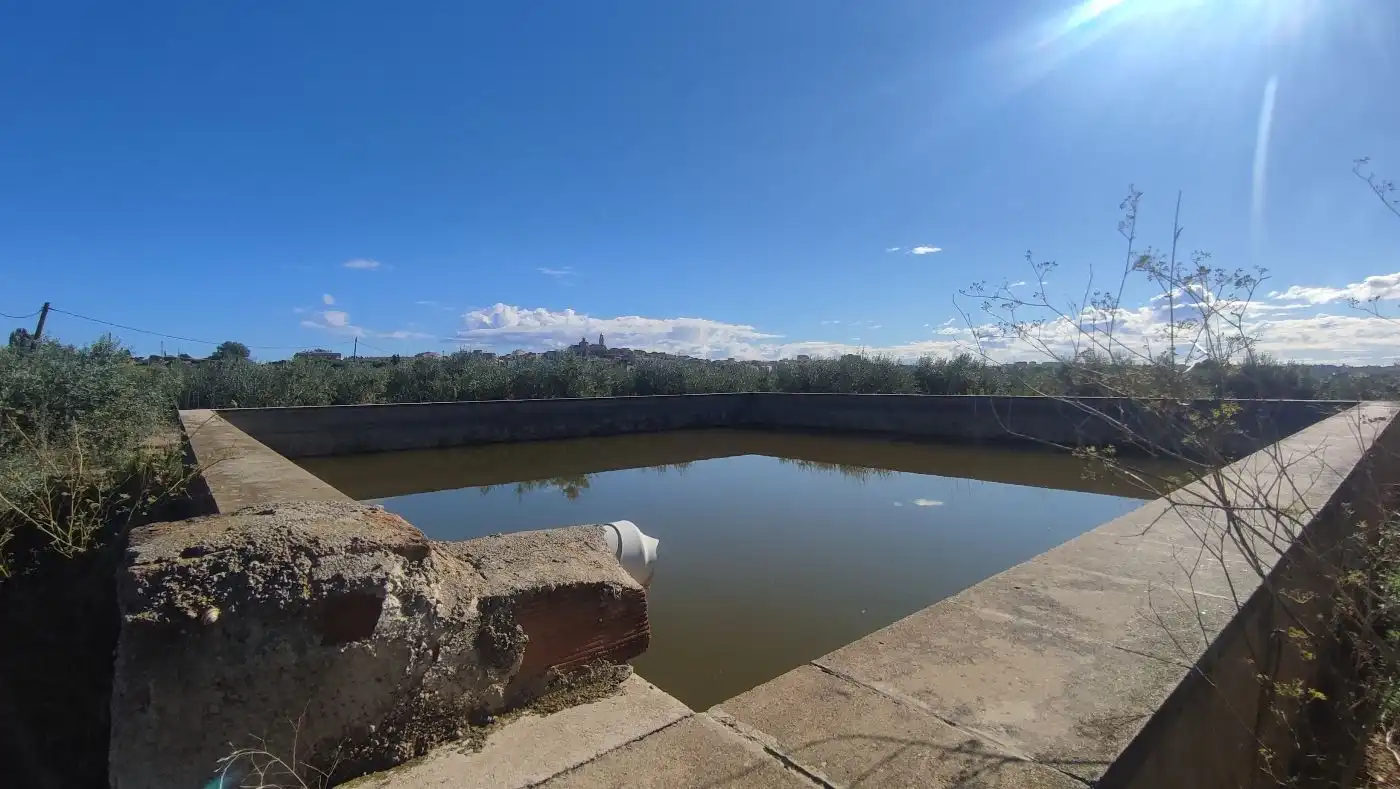 Piscina de Finca rústica en venda en Constantí amb Jardí privat, Terrassa i Moblat