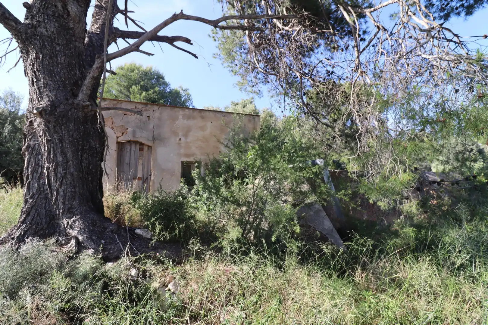 Terreno rústico en venta en Alcanar