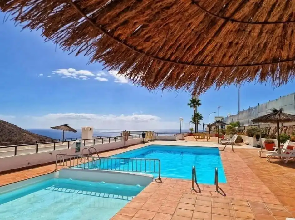 Swimming pool of Apartments for rent in Mogán  with Furnished, Balcony and Community pool