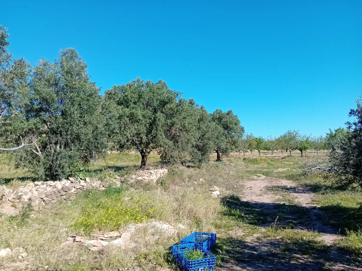 Land for sale in Cartagena