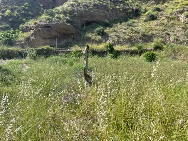 Lands and plots for sale in Calle Salitre 25, imagen 7