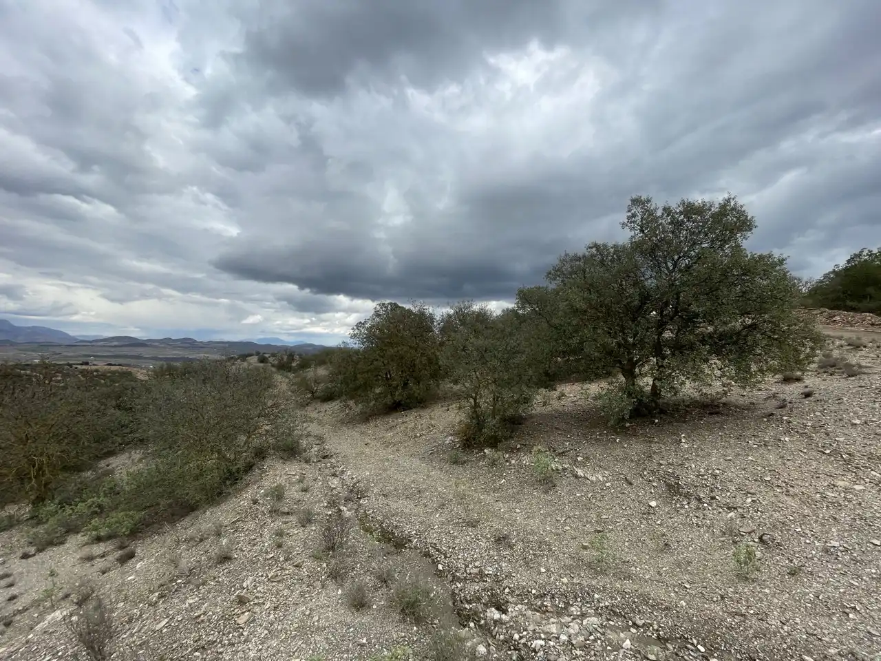 Residential land for sale in Pasadizo Cabezo, Cerro Siom o Paleton -  Carretera A-327, imagen 12
