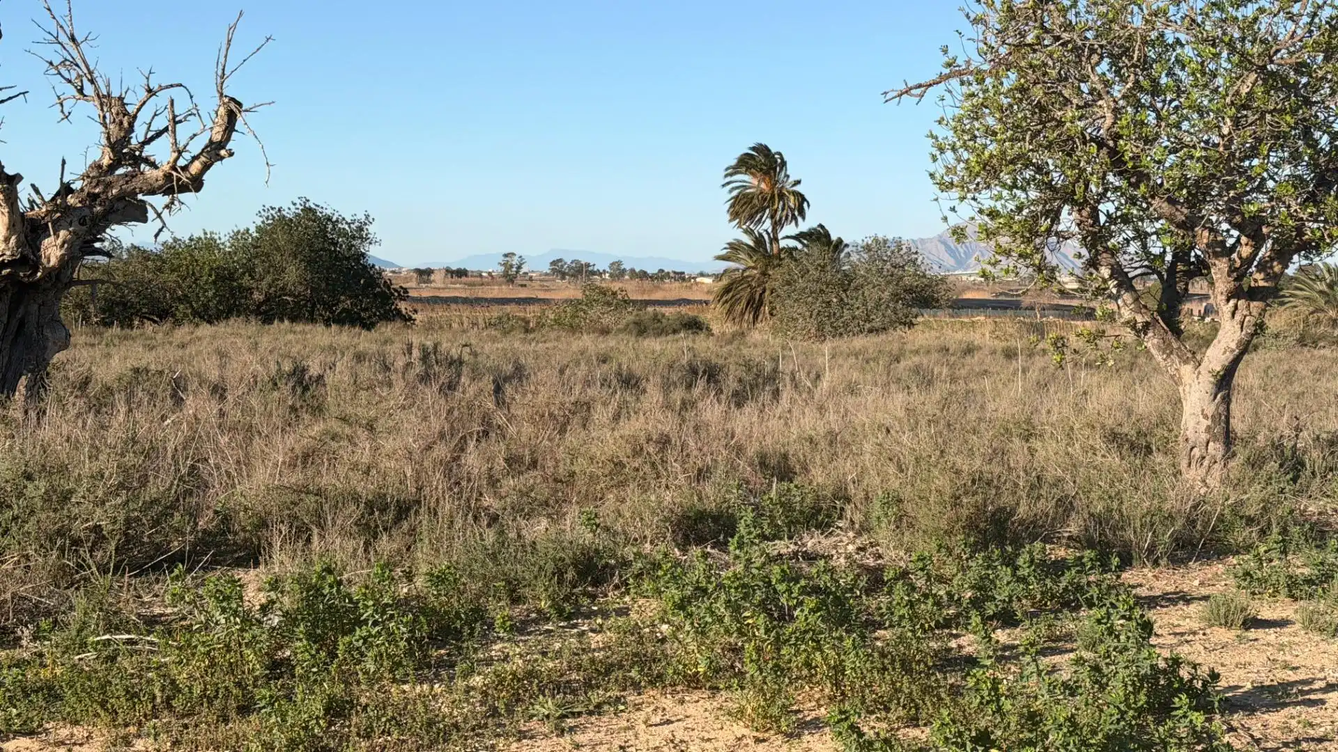 Terreno residencial en venta en La Marina, imagen 29