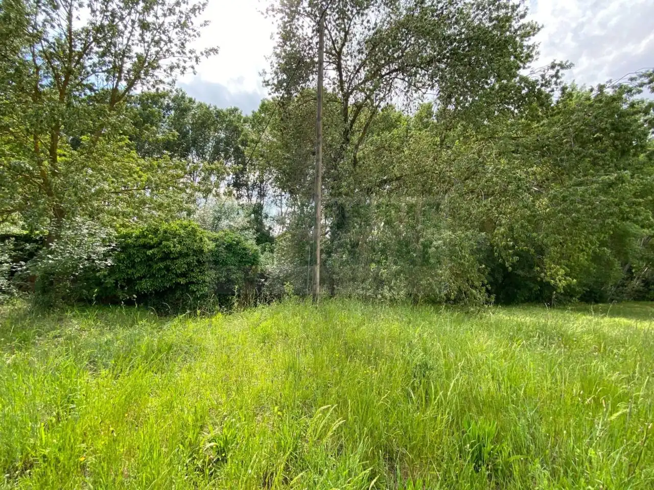 Finca rústica en venta en La Pera