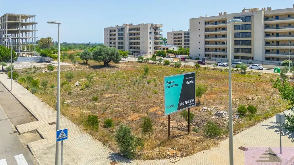Residential land for sale in Gregal 8, imagen 6
