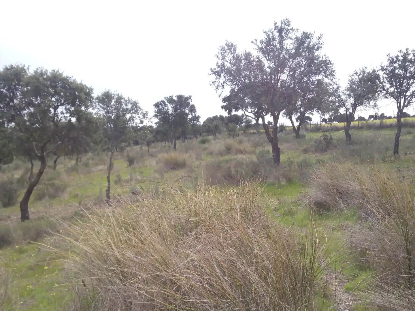 Terreno en venta en Aldea del Fresno