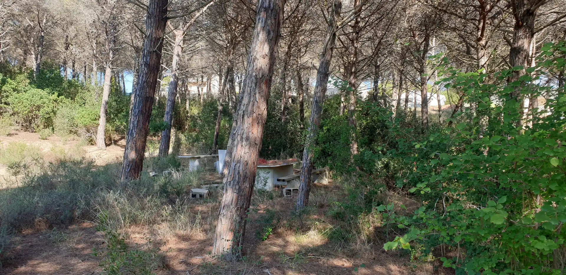 Rustikales Grundstück zum Verkauf in Mas Mora - Sant Daniel, imagen 2