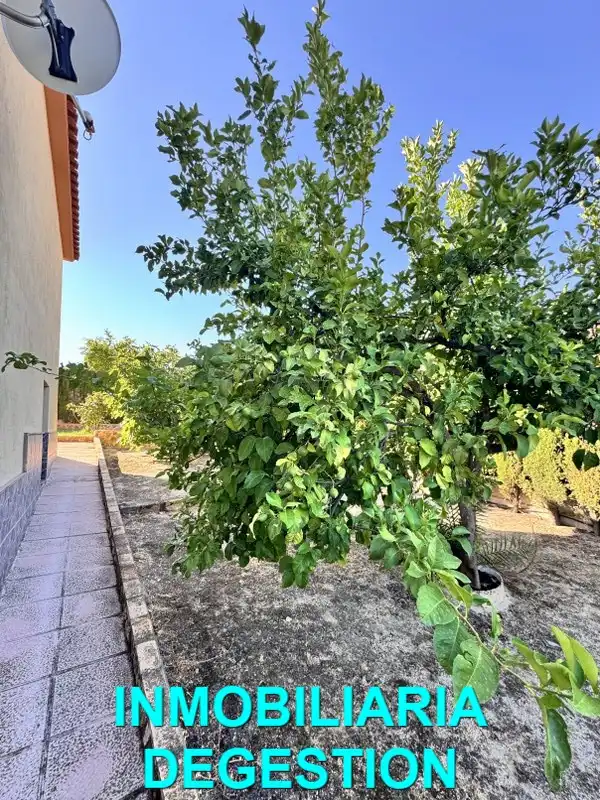 Casa o xalet en venda en Linares amb Aire condicionat, Jardí privat i Piscina