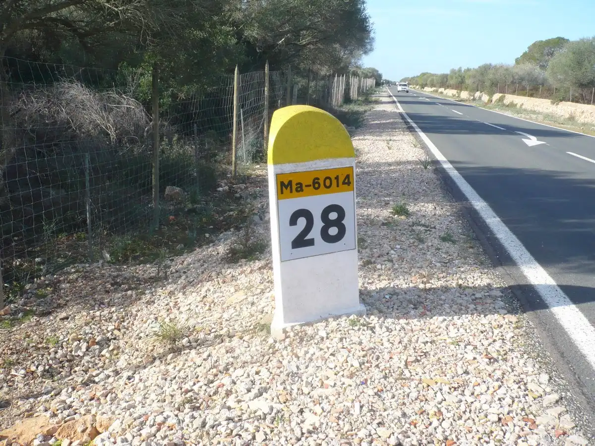 Terreno rustico in vendita a Ma-6014 Km 24, imagen 11