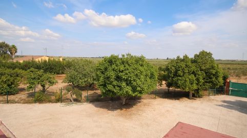 Excepcional Finca Rústica Recién Reformada con Piscina y 5.200 m2 de Parcela en El Pintado, Gibraleón, imagen 2