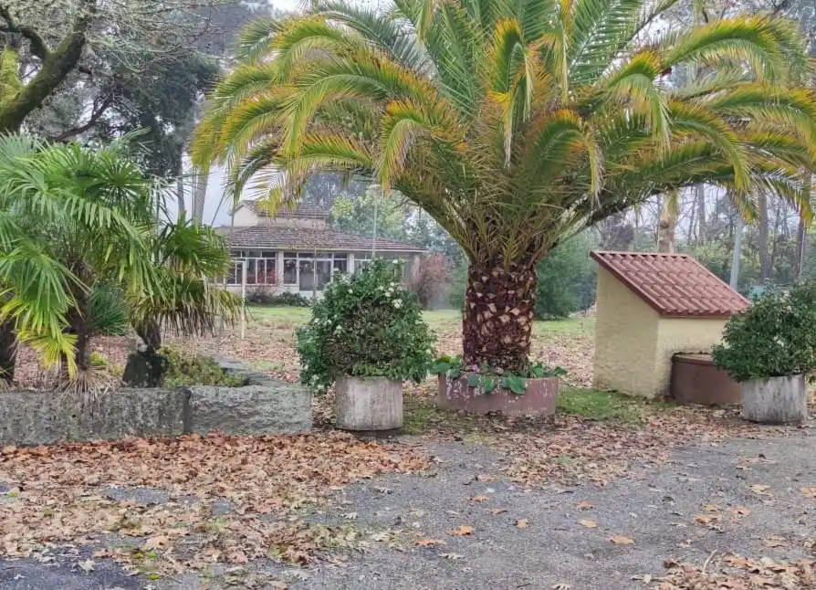 Local commercial à vendre à razamonde, xubin, imagen 16