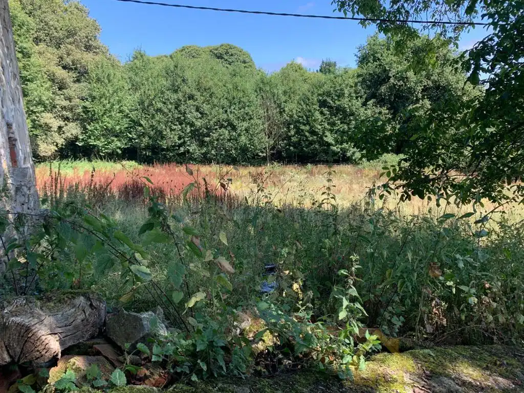 Maison à vendre à Pereira- Carballo, imagen 19