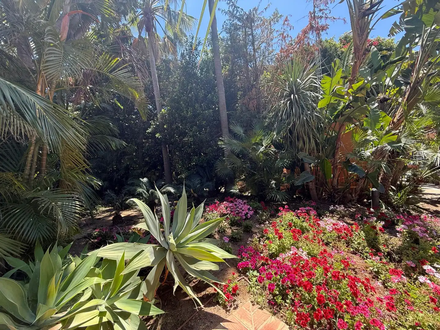 Garden of Ground floor for rent in Estepona  with Private garden, Terrace and Swimming Pool