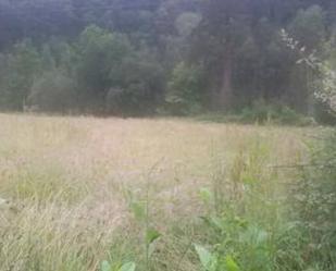 Land for sale in Trucios-Turtzioz