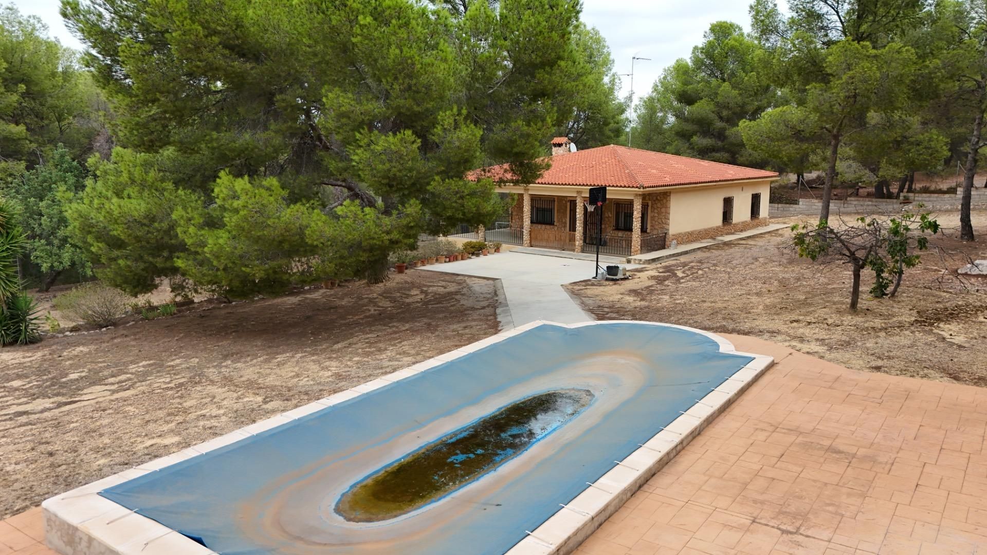Piscina de Casa o xalet en venda en Llíria amb Aire condicionat, Calefacció i Jardí privat