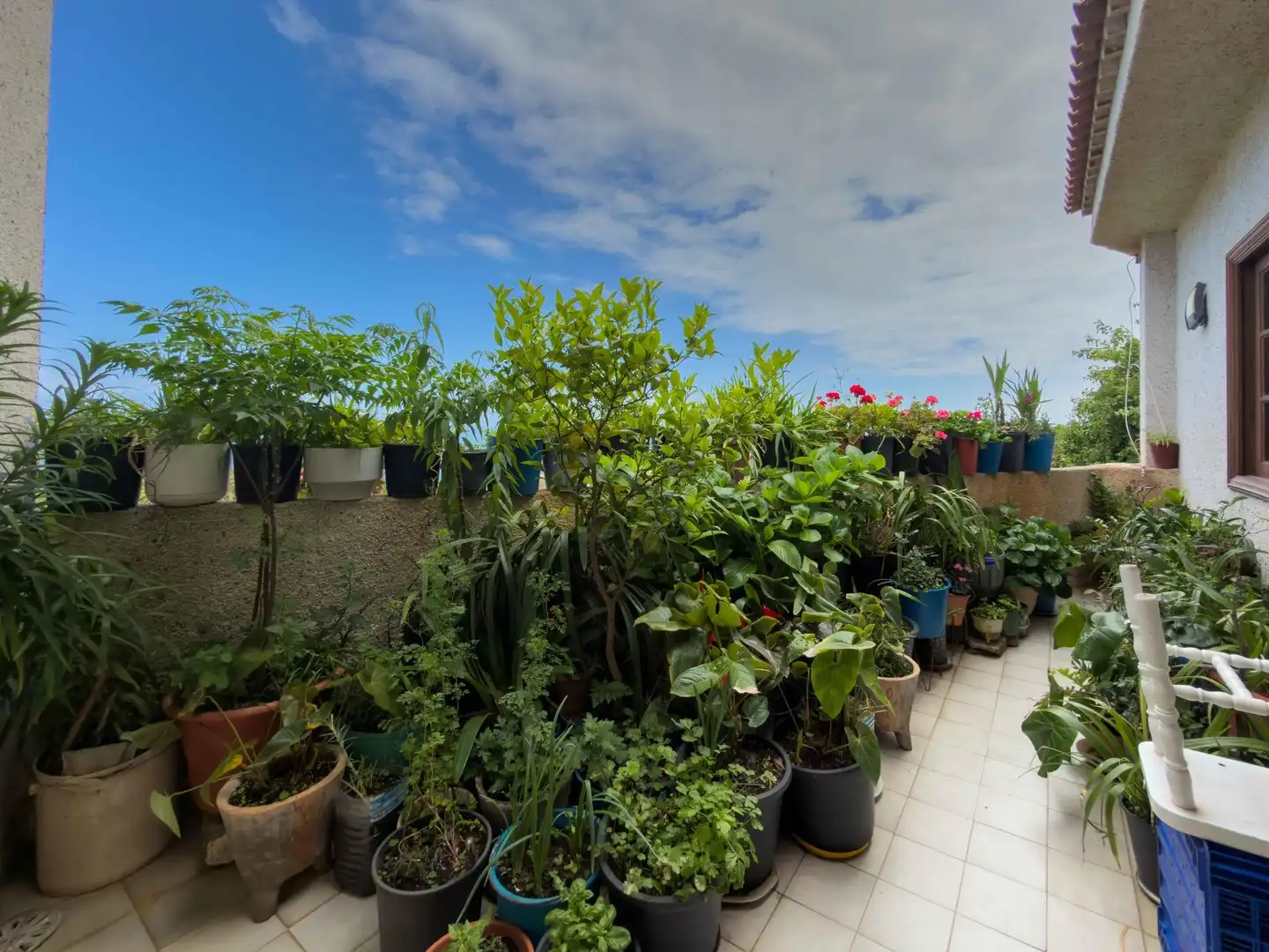 Terrace of Houses for sale in Icod de los Vinos  with Private garden, Terrace and Balcony