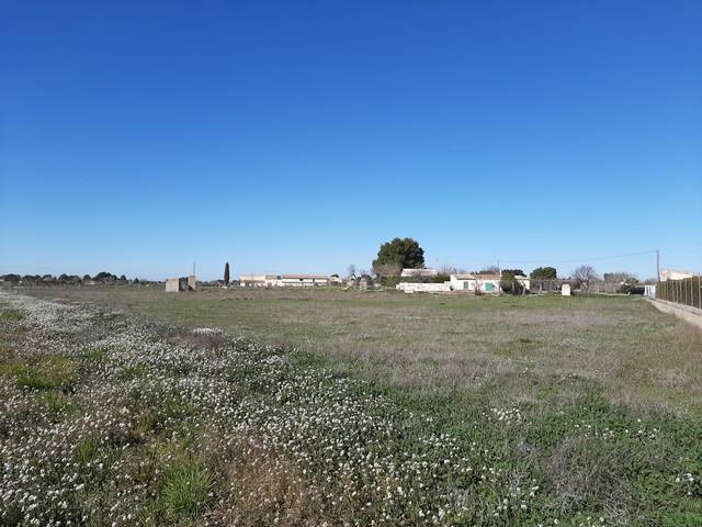 Terreno en Venta en Pedanías - Extrarradio