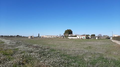Foto 4 de Terreno en venta en Pedanías - Extrarradio, Albacete Capital