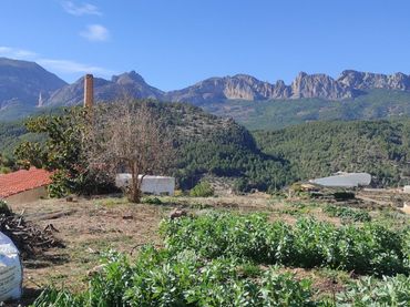 Terrenys i solars en venda a Callosa d'en Sarrià