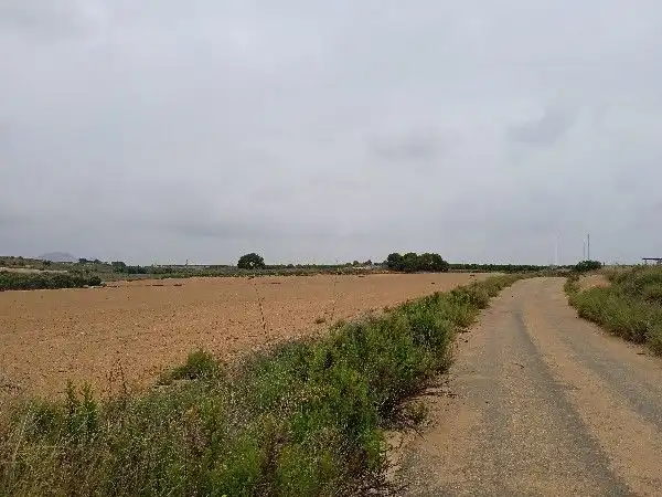Terreni e lotti in vendita a PP GRANADOS 5 R-11-A en GEA Y TRUYOLS, imagen 12