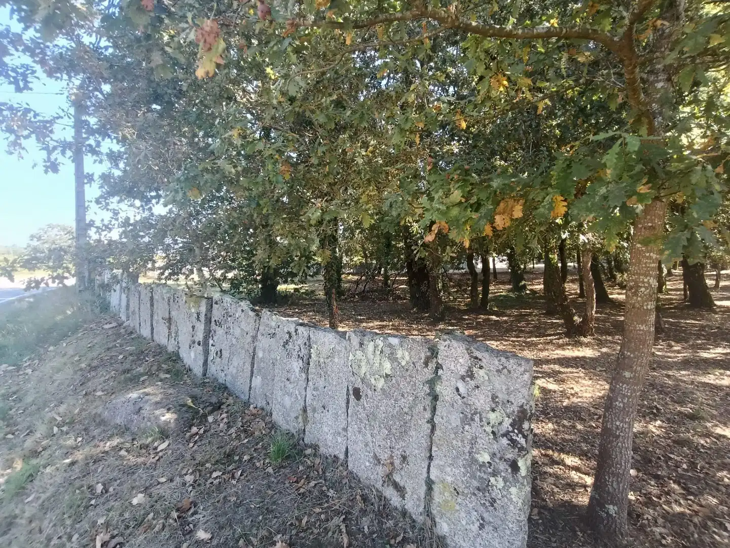 Terreno residencial en venta en Lugar As veigas, imagen 2