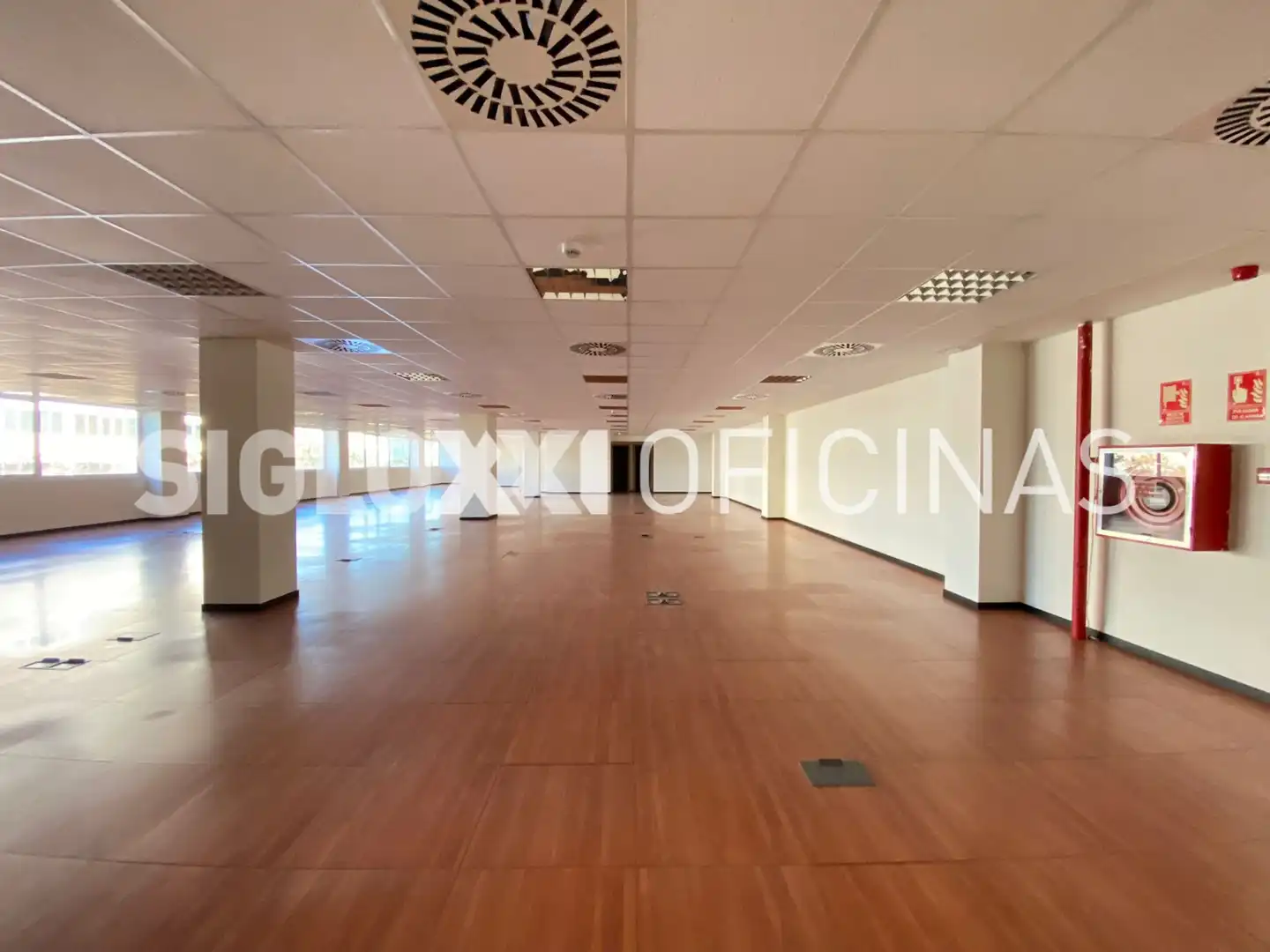 Oficina de lloguer a PLOM, imagen 8