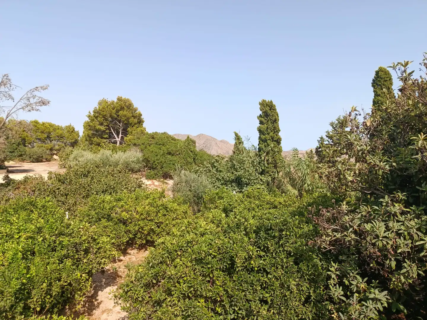 Villa mit Terrasse zum Verkauf in Calle Sierra Salinas, imagen 45