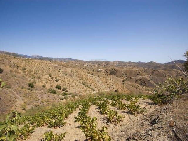 Terreno residencial en Venta en Sedella
