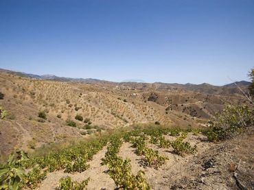 Terreno residenziale in vendita a Sedella