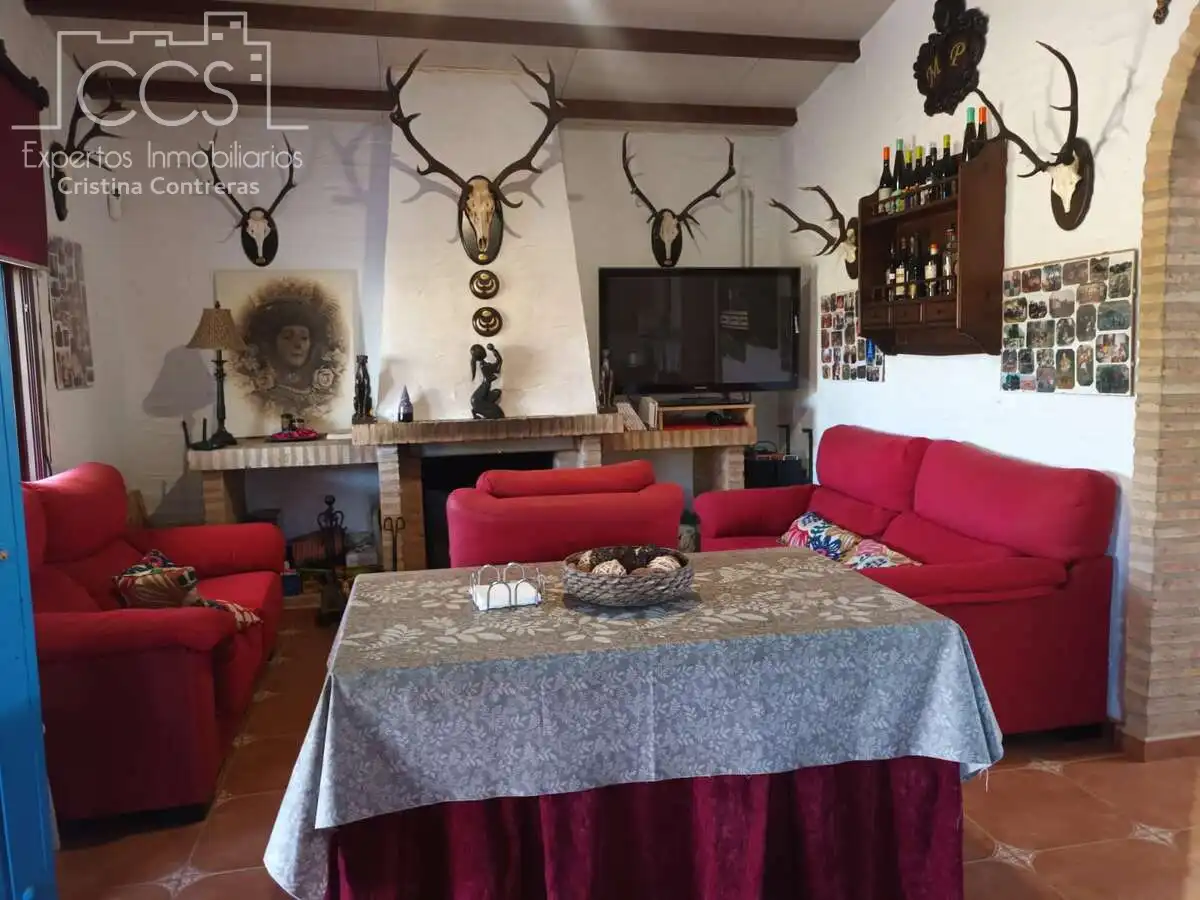 Casa rústica con jardín en venta en Almonte ciudad, imagen 8