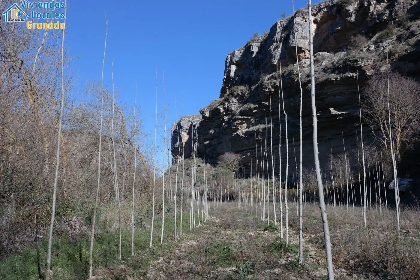 Terreni e lotti in vendita a Alhama de Granada, imagen 9