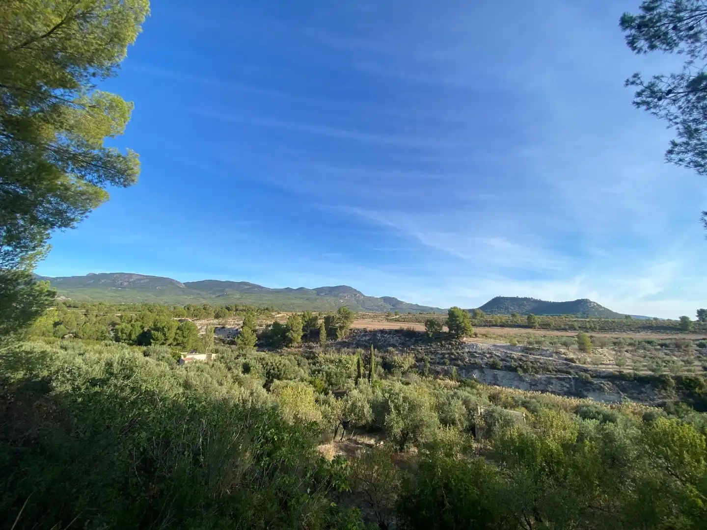 Terreny rústic en venda a Moratalla, imagen 12