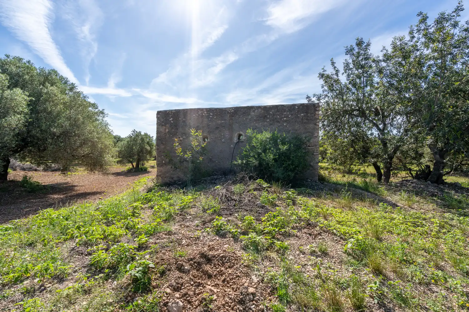 Terreno rustico in vendita a Camí de Terrapico 21, imagen 15