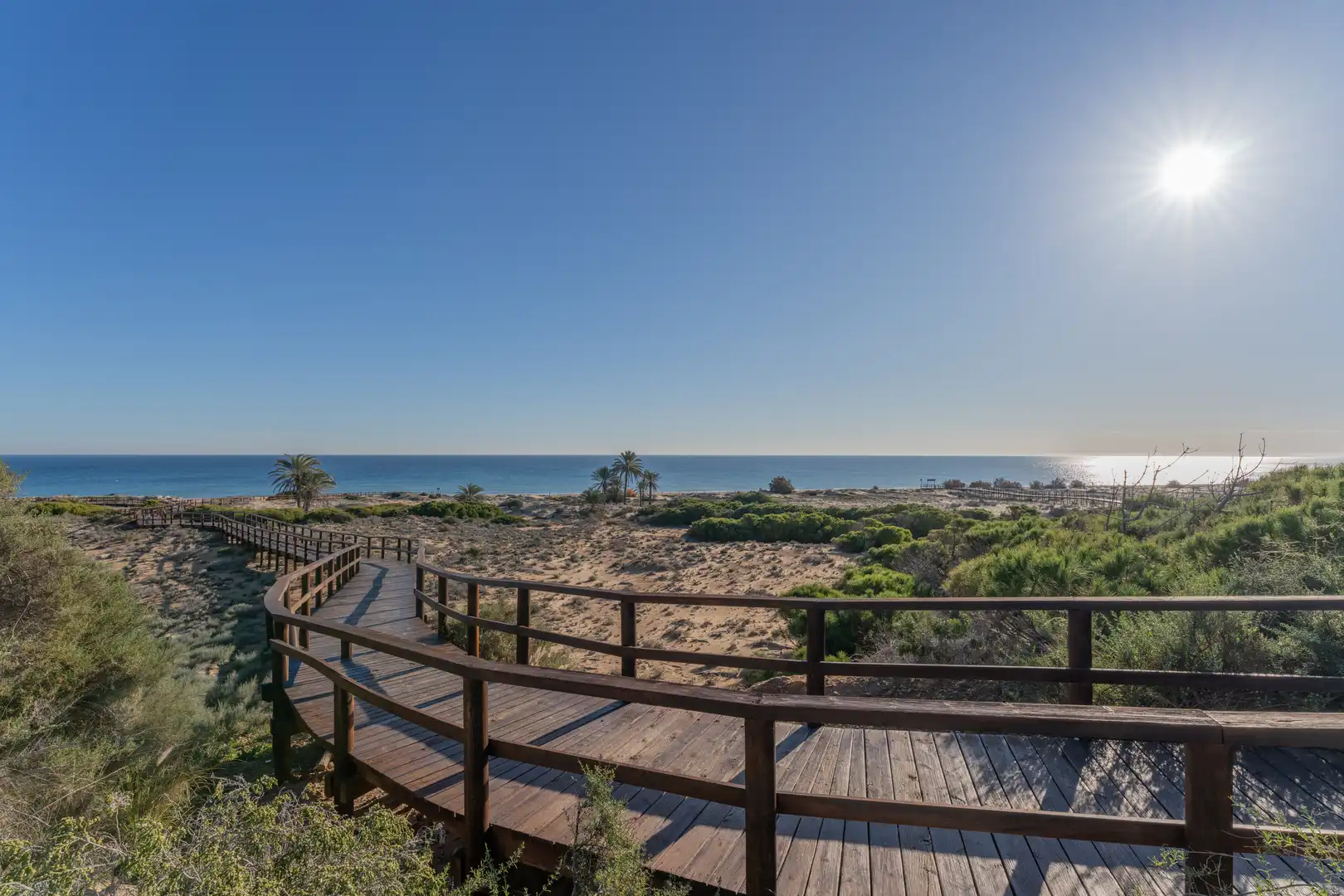 Vista exterior de Apartamento en venta en Elche / Elx con Calefacción, Terraza y Piscina