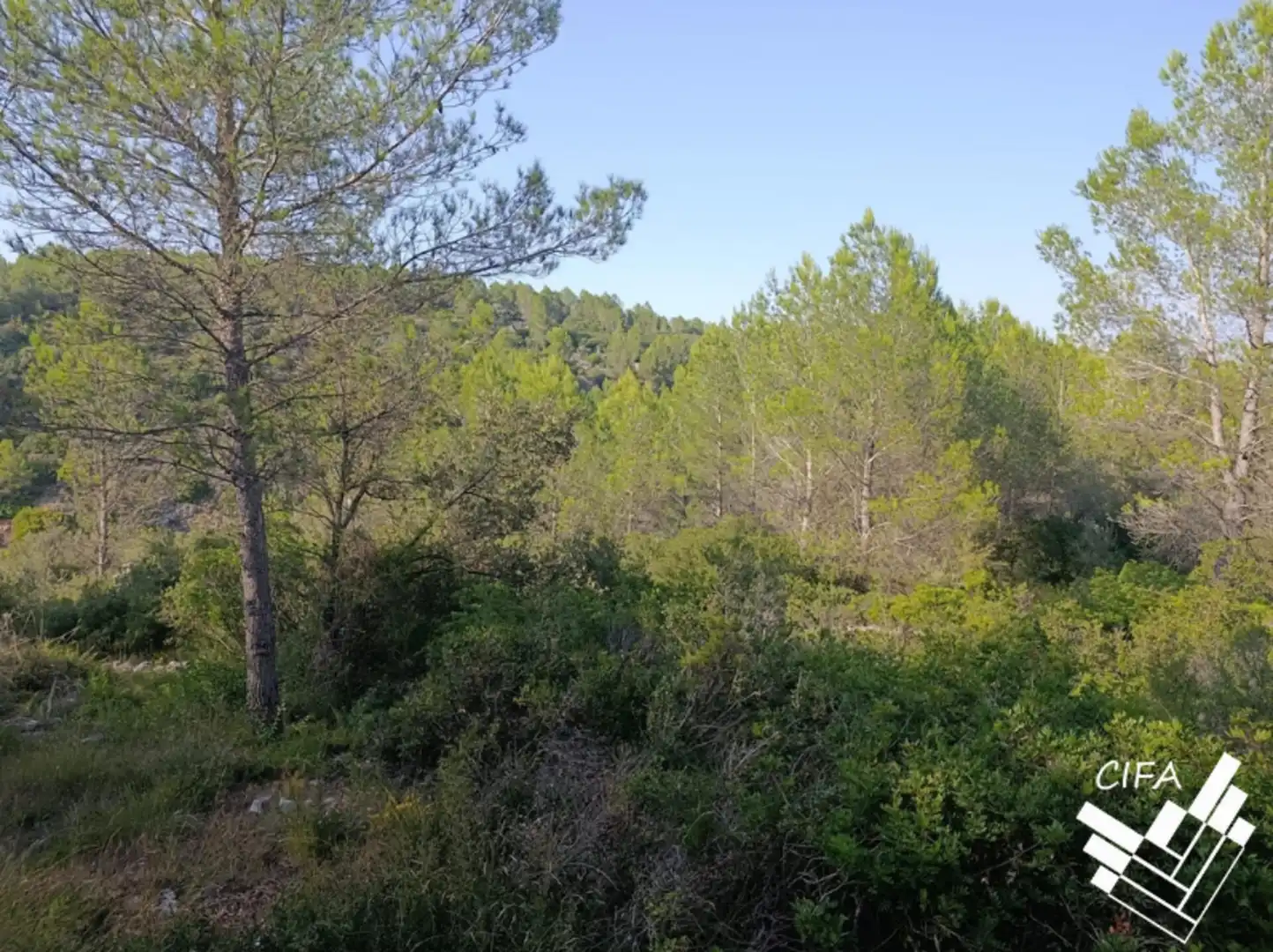 Terreno en venta en Sant Mateu