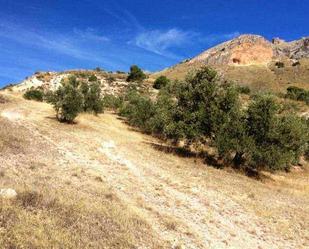 Terreny en venda en Bedmar y Garcíez