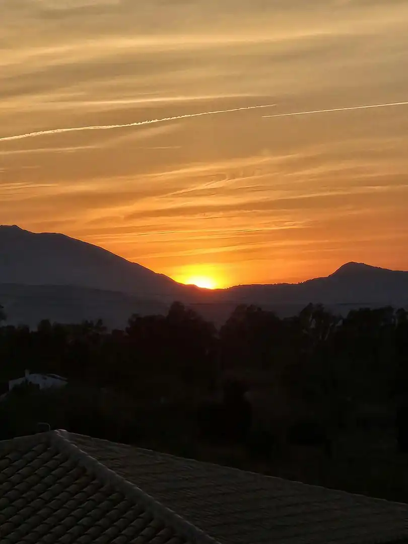 Vista exterior de Pis de lloguer en Oliva amb Jardí privat, Moblat i Rentadora