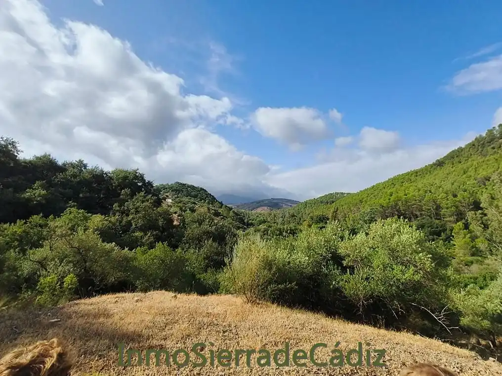 Finca rústica en venda en Algodonales