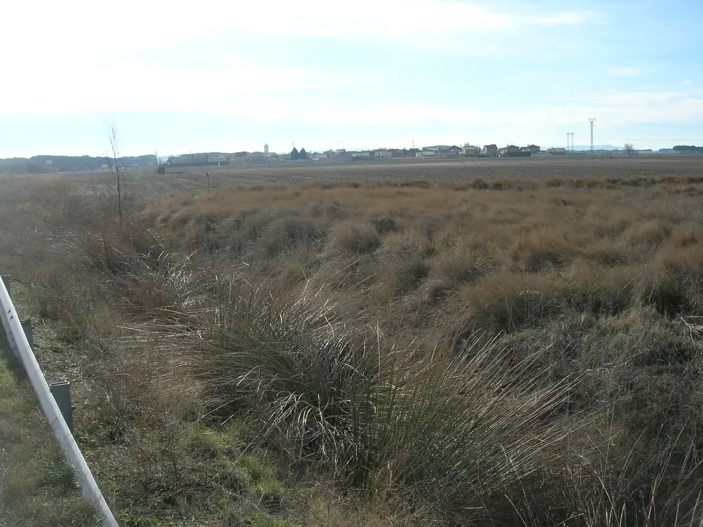Terreno rustico in vendita a Sector Sud, imagen 5