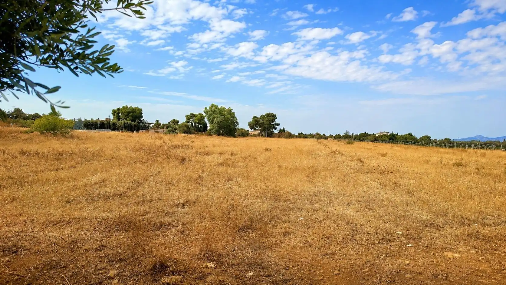 Terreny rústic en venda a Santa María del Camí