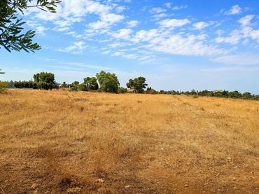 Rustikales Grundstück zum Verkauf in Santa María del Camí